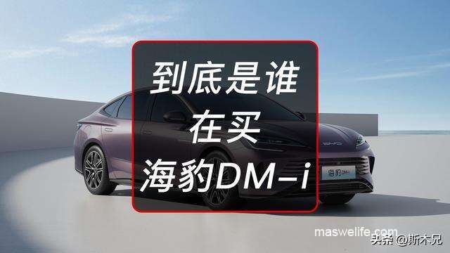 第52期：到底是谁在买比亚迪海豹DM-i？-1.jpg